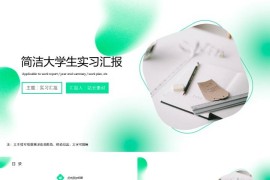 实习汇报ppt模板